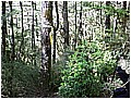 2008-7-2 下午 03-06-10---國勝叉路.jpg